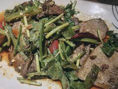 彝家手撕美人椒牛肉-云海肴·汽锅鸡·云南菜(美罗城店)