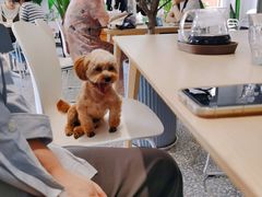 -GOOD GOODS咖啡店(南园店)