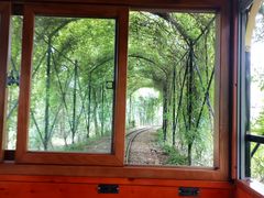 -合肥滨湖国家森林公园