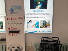 -北京观赏动物医院·24小时大型综合·猫专科·异宠专科