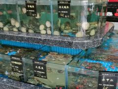 -渔码头食府(蓬莱阁店)