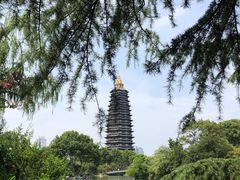 -红梅公园