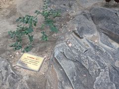 -中国第四纪冰川遗迹陈列馆