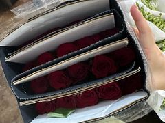 -合肥市裕丰花鸟虫鱼市场