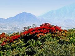 -阳台山自然风景区