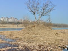 -马家湾湿地公园