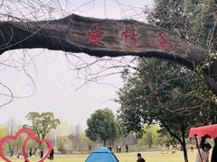 -鹅湖玫瑰文化园