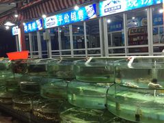 -东戴河风景区-止锚湾