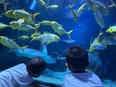 -太平洋海底世界