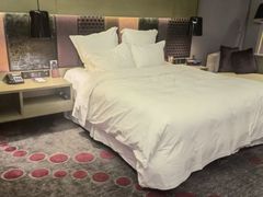 -南京禄口机场雅高铂尔曼大酒店