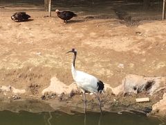 -鄂尔多斯野生动物园