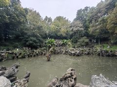 -伯先公园