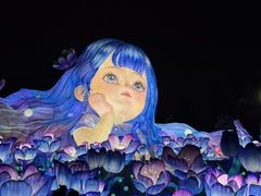 -淄博花灯齐彩城