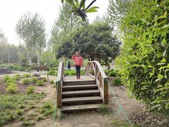 -郑州植物园