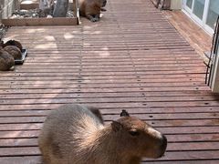 -昆明动物园