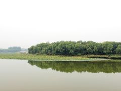 -大兴滨河森林公园