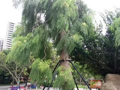 -金山植物公园