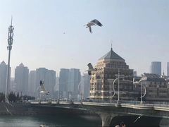-星海广场