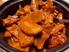 粉葛焖鹅脚翼-花城苑广府菜(侨鑫店)