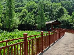 -重庆彩云湖湿地公园