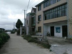 -南汇水蜜桃采摘(大团店)