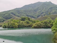 -龙坞茶村