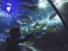 -大连圣亚海洋世界