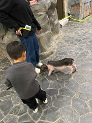 -Zoolung Zoolung动物主题公园(海信广场店)