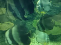 -苏州海洋馆