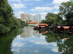 -侨美·唐荔园·40年地道粤菜