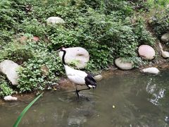 -常州淹城野生动物世界