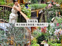 -正佳雨林生态植物园