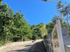 -大岭沟猕猴桃谷风景区