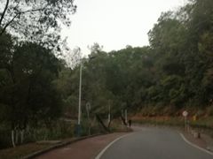 -火炉山森林公园