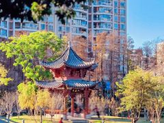 -四海公园(南山区)