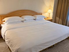 -南京维景国际大酒店(南京博物院店)