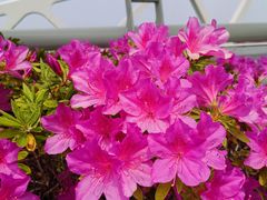 -万达广场(南京江宁店)