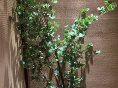 -千代武日本料理(爱建店)