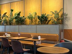 -Wagas沃歌斯(汇智店)