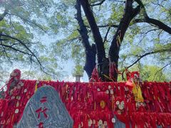 -大槐树寻根祭祖园