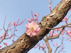 -北京明城墙遗址公园