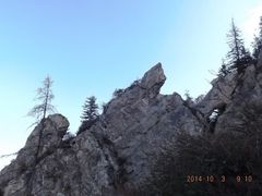 老爷山的石蜥蜴-老爷山风景区