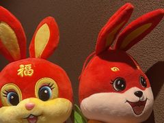 -和悦SPA·采耳(聚丰园路店)