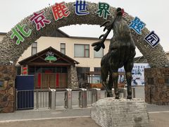 -北京鹿世界主题园