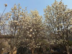 -张学良旧居陈列馆