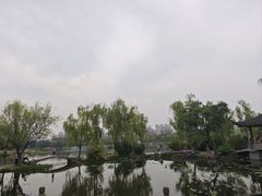 -武汉园博园(武汉自然博物馆)