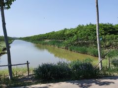 -西青郊野公园