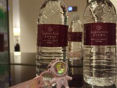 -上海嘉定喜来登酒店