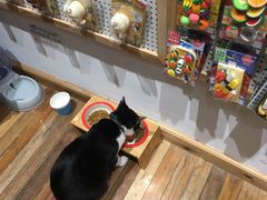 -猫的天空之城概念书店(杭州南宋御街店)