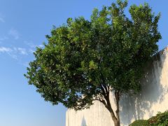 -东望洋炮台东望洋灯塔